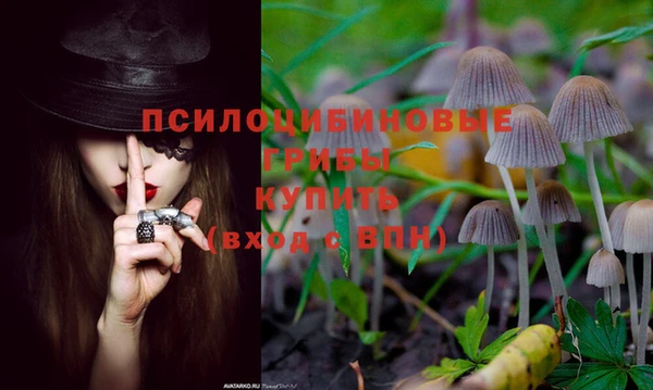 экстази Зерноград