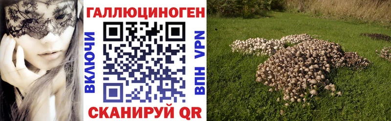Галлюциногенные грибы GOLDEN TEACHER  Сортавала 